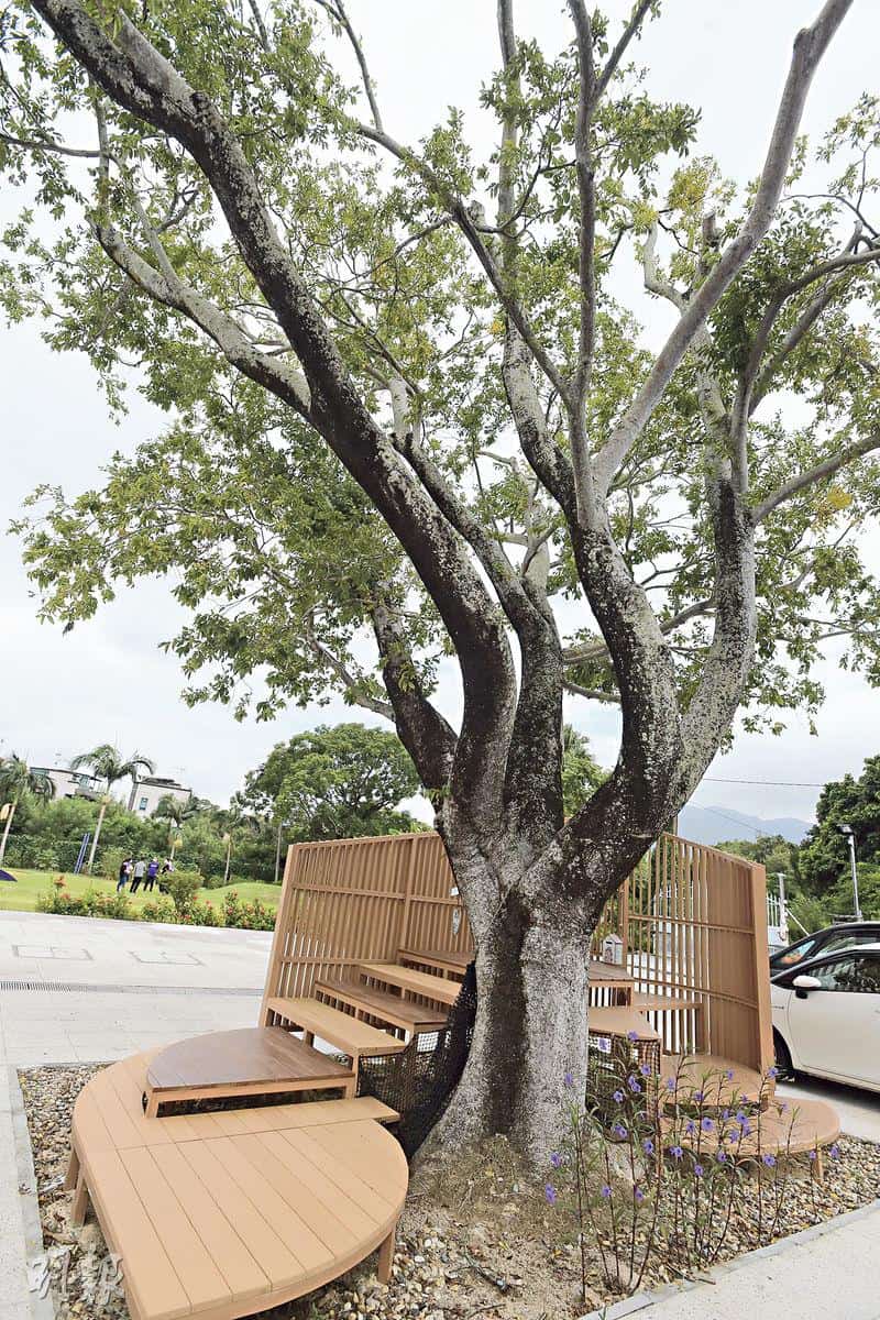 學校巡禮：玩泥沙 滾山坡 上樹屋 村校樂園 自由玩出正向教育